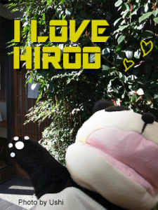 hiroo_blog20170212_jidori3
