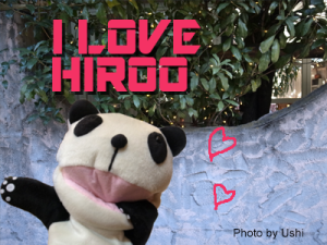 hiroo_blog20170212_jidori1