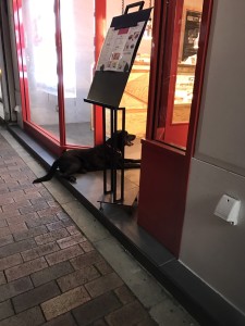 会沢さん 写真1