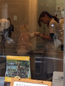 会沢さん 写真3