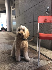 会沢さん写真 2